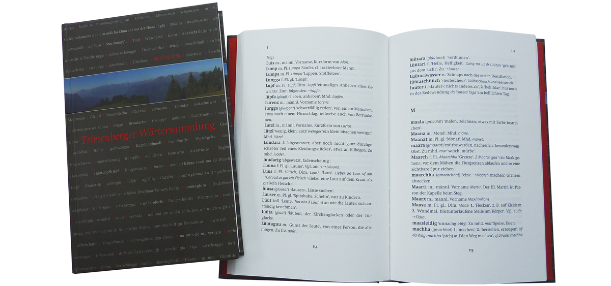 Triesenberger Wörterbuch analog zur Ausgestaltung des Post- und Museumseingangs in Triesenberg
<br>