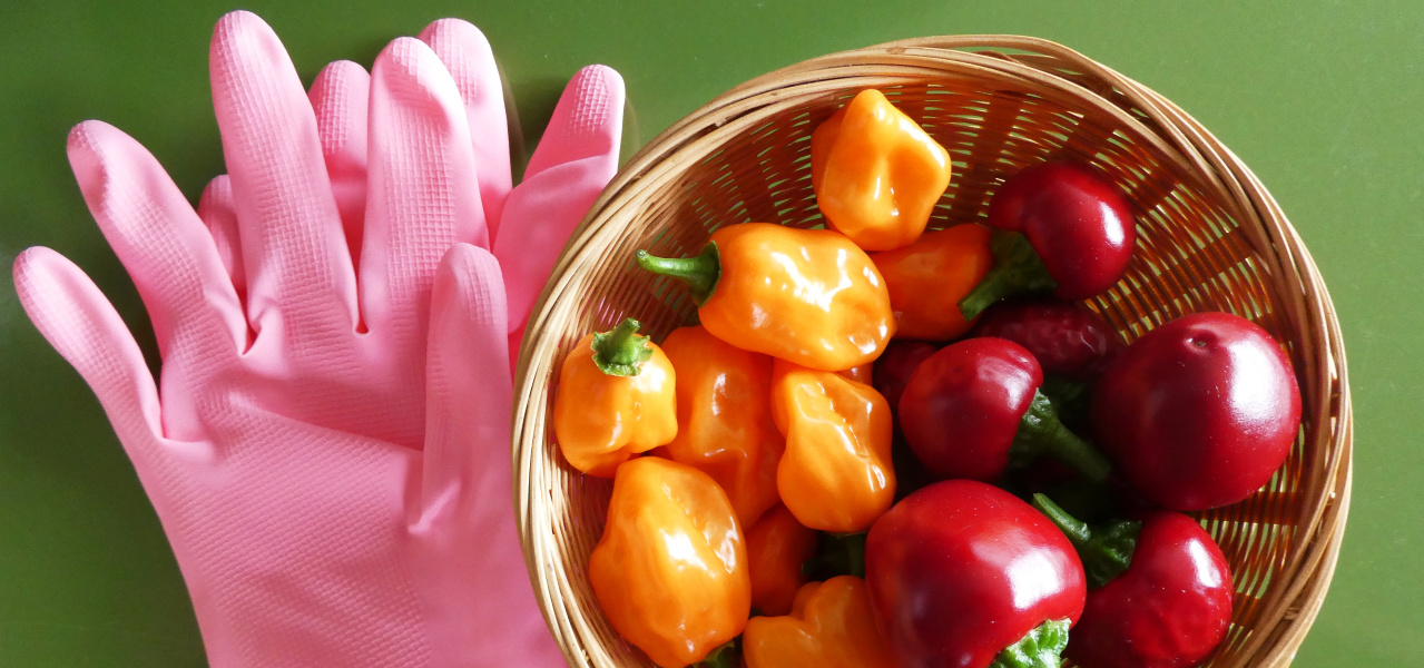 "Scharfe" Ernte, 2022